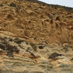 Meet your Posher, Balasubramaniam